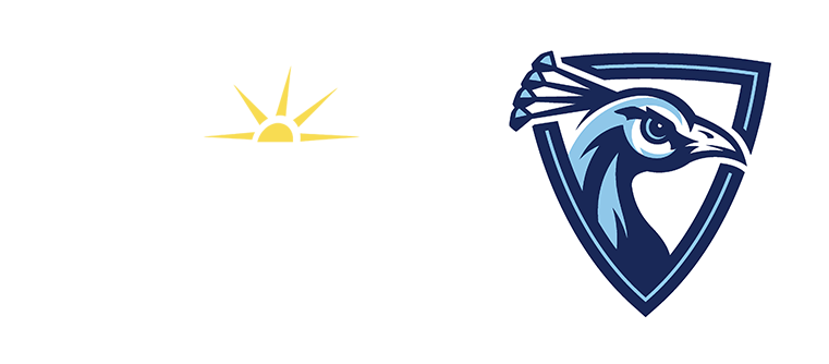 Upper Iowa University on the NSIC Network